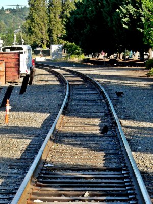 Railroad tracks leading across G Street