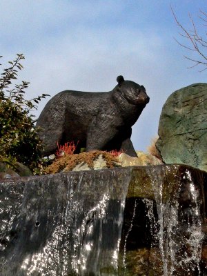 Taprock Bear above waterfall feature