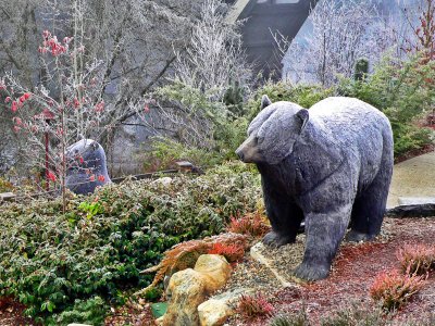 Taprock Bears in December