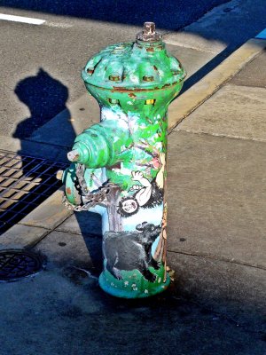 Green and White -Fire Hydrant
