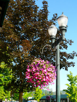 Street Basket and Old Time Lamp
