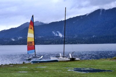 Lake Quinault WA