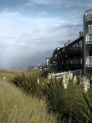 Ocean Shores view of beach condos