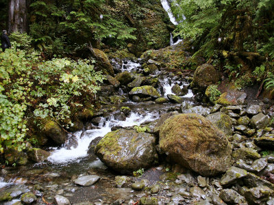 Waterfall and stream rock course