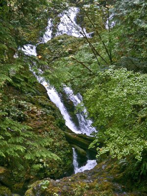 Waterfall around the rocks and under the log