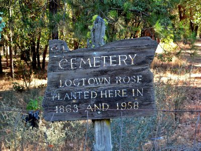 Logtown Rose Sign