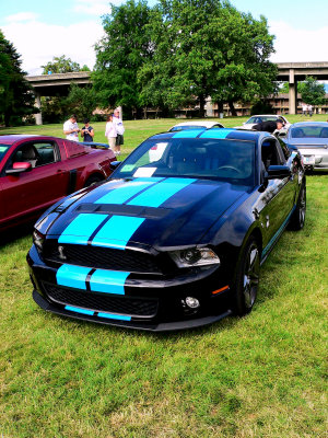 Medford Cruise-2010 9 - Mustang Shelby GT500 convertible