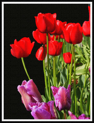 Artistic_Red and Pink Tulips