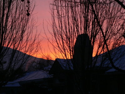 Soft Pink Winter Dawn