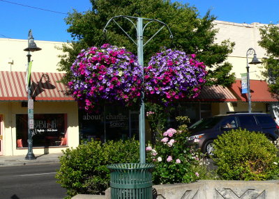 Colorful flower baskets on Central