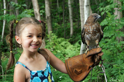 Hlose et Petite Buse - Hlose with a Broad-winged Hawk
