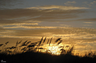 Lever de soleil - Sunrise