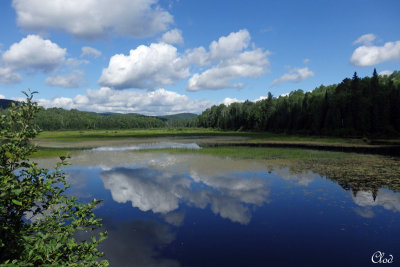 Rivière l'Assomption - PN du Mont-Tremblant