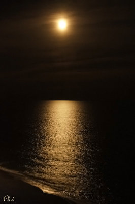 Lever de lune sur l'Atlantique - Moonrise on Atlantic ocean