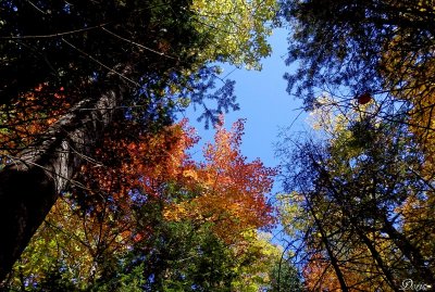 L'automne, une belle saison - Autumn can be so nice !