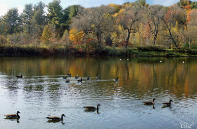 Parc de ltang du Grand Coteau