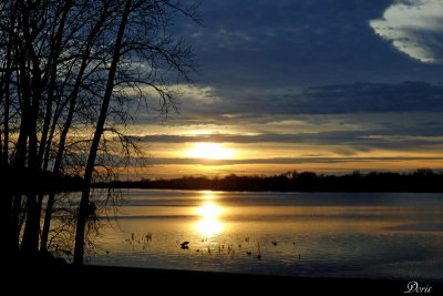Coucher de soleil  sur la rivière - Sunset on the river