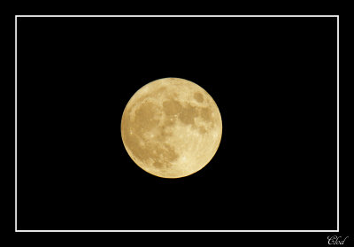 Pleine lune novembre - November full moon