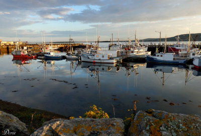 Fin de journe au port de Grand Manan - End of the day at the harbor!