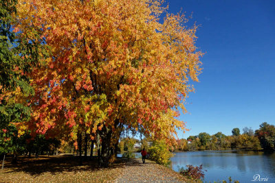 L'automne dans toute sa splendeur - Amazing fall colors