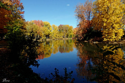 Rivière des Mille-Îles