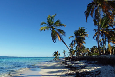 Le sable remplace la neige - Sand instead of snow !!