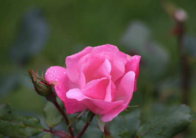 g9/14/94714/3/157942551.tUugxjSw.jpg