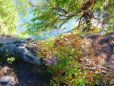 Karelia. Ruskeala