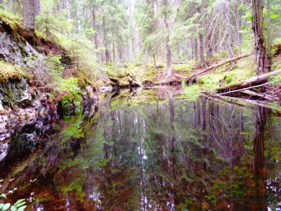  Karelia.Pellotsaari island 