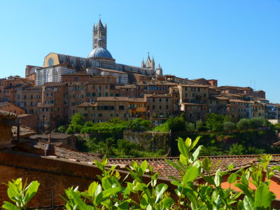 Siena