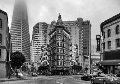 SF-1-42.jpg