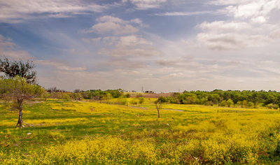 A Texas Landscape