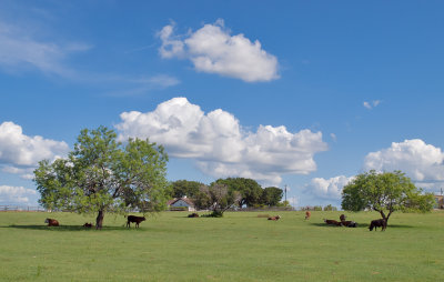A Texas ranch