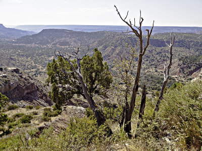 View into the canyon from the visitors center