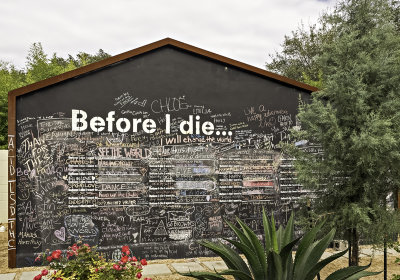 Before I Die, W. Elizabeth Street, Austin
