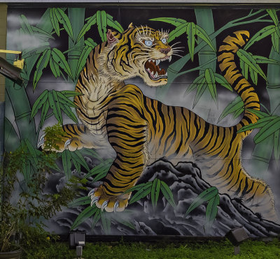 You can hear this tiger roar on Guadalupe street