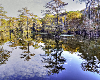 Caddo Lake State Park, A Gallery