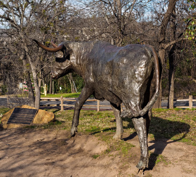 Sculpture representing cattle on the Chisholm Trail