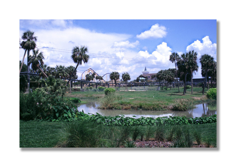 Bush Gardens