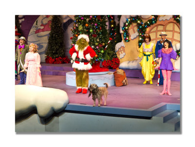 The Grinch Christmas Show