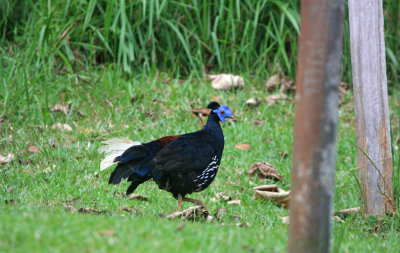 g9/15/1175915/3/159198073.u7DNRzuT.jpg
