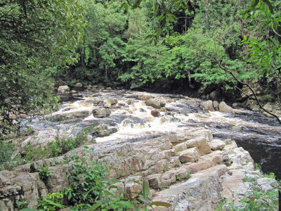 The fast streaming river,Sungai Tahan