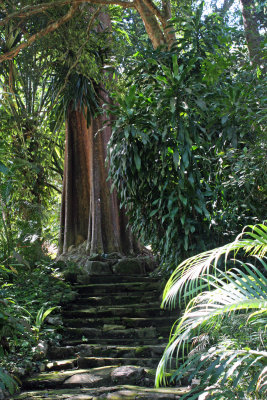 Botanical garden of the island