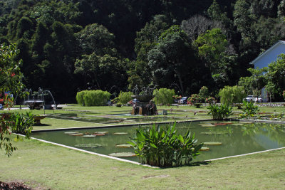 Botanical garden  the of island