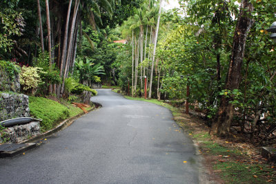 The green roads of the resort