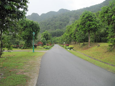 Entrance road to the resort