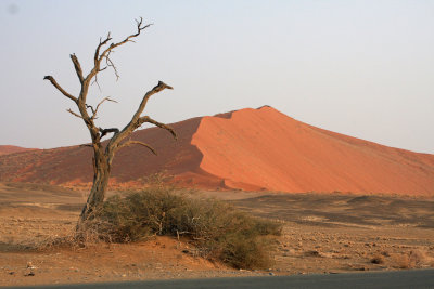 De imposante rode duinen van de Sossusvlei - The imposing red dunes of the Sossusvlei