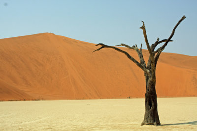 De imposante rode duinen van de Sossusvlei - The imposing red dunes of the Sossusvlei