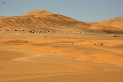 Prachtige duinen van de Namib Woestijn - Wonderfull dunes of the Namib Dessert