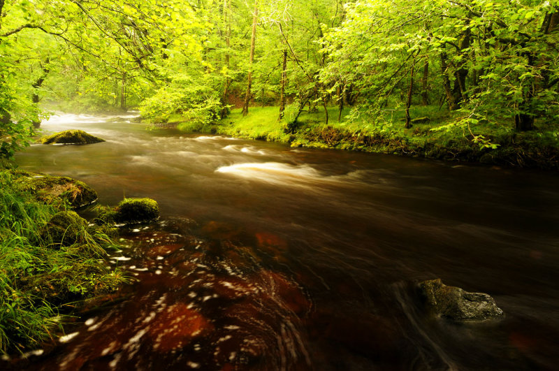 Swirls and trails, Afon Nedd Fechan